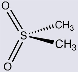 MSM Molecule - C2H6O2S