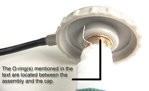 O-ring to Seal the Cap