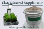 Edible Clay and Wheatgrass Growth Rates